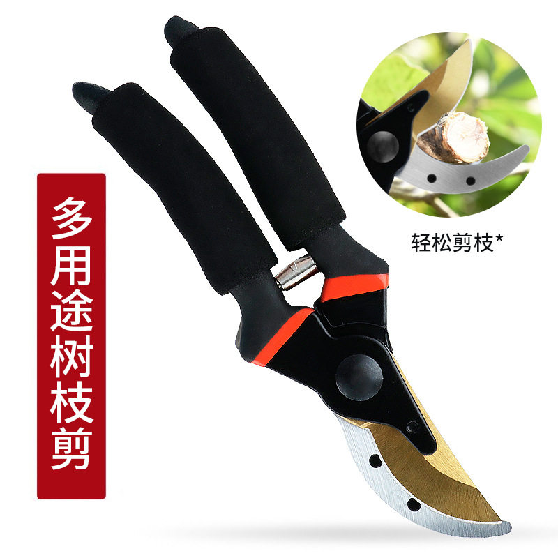 果树修枝剪刀园艺剪刀果枝花枝剪花卉绿化嫁接园林剪海绵柄修枝剪图片