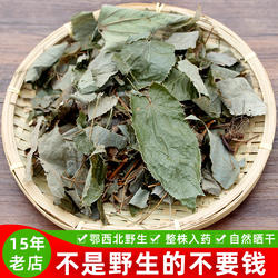 神农架野生淫羊藿三枝九叶草中药材仙灵脾叶整株盆栽树苗根泡酒茶