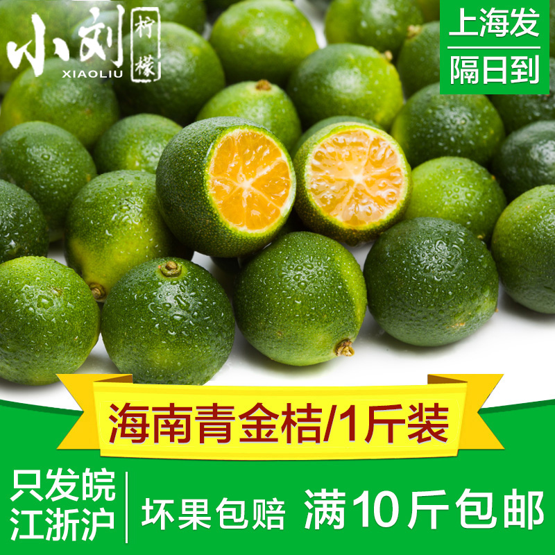 海南青金桔500g包免邮小新鲜