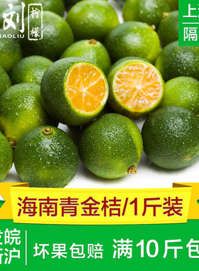 海南青金桔包免邮小新鲜