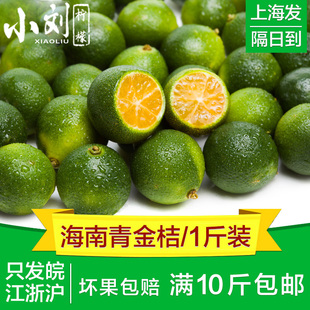 海南青金桔青桔小青柠小金桔酸柑新鲜水果青金橘小刘
