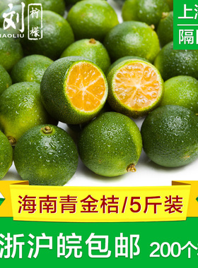 海南青金桔1/3/5/10斤装 包邮青橘小金桔酸新鲜水果青金橘