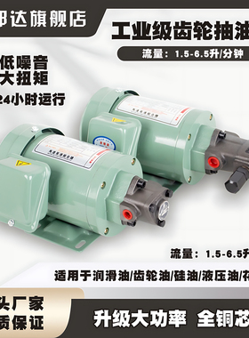 三角泵齿轮泵WJP循环机油泵机床润滑泵摆线泵液压油齿轮油食用油