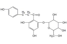 根皮甙98%Phlorizin 试验科研用天然植物纯品 单体 1g起包邮