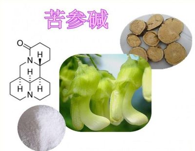 精品苦参碱98% 母菊碱 苦参提取物 杀虫剂100元/2克 量大价优
