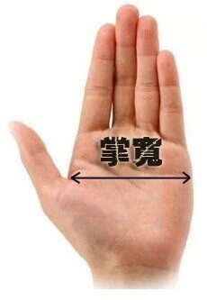 Gants pour vélo mixte - Ref 2248890 Image 5