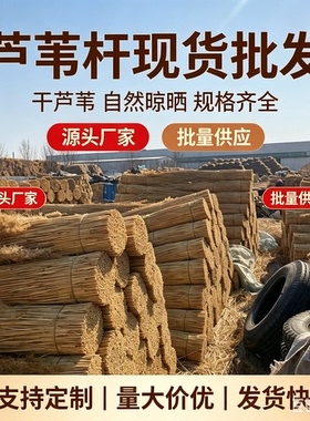 DIY芦苇杆屋顶装饰墙面吊顶篱笆芦苇帘民宿农家装饰净杆影视道具