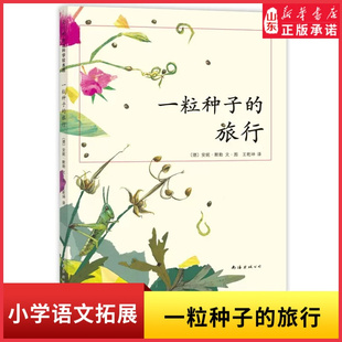 旅行中国小学生基础阅读书目德国儿童图书Luchs大奖 新华书店正版 走进自然 双重享受 书籍 中小学生科普绘本知识和艺术 一粒种子