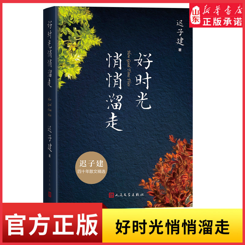 好时光悄悄溜走茅盾文学奖鲁迅文学奖得主迟子建四十年散文精选书写额尔古纳河右岸之外的人生故事中国现当代文学作品新华书店正版