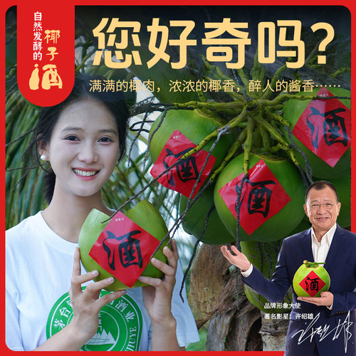 任意门纯粮食椰子酒盒装