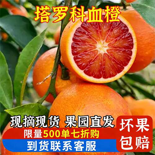 正宗湖南麻阳血橙子新鲜10斤大果现摘整箱塔罗科（自家果园直发）