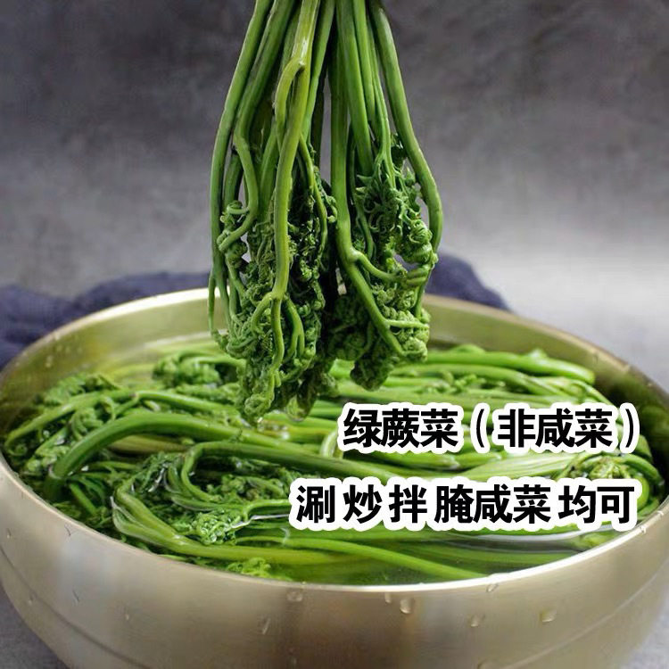 清水绿蕨菜水蕨菜保鲜清水绿蕨菜山野菜包邮每袋1000克袋装绿蕨菜