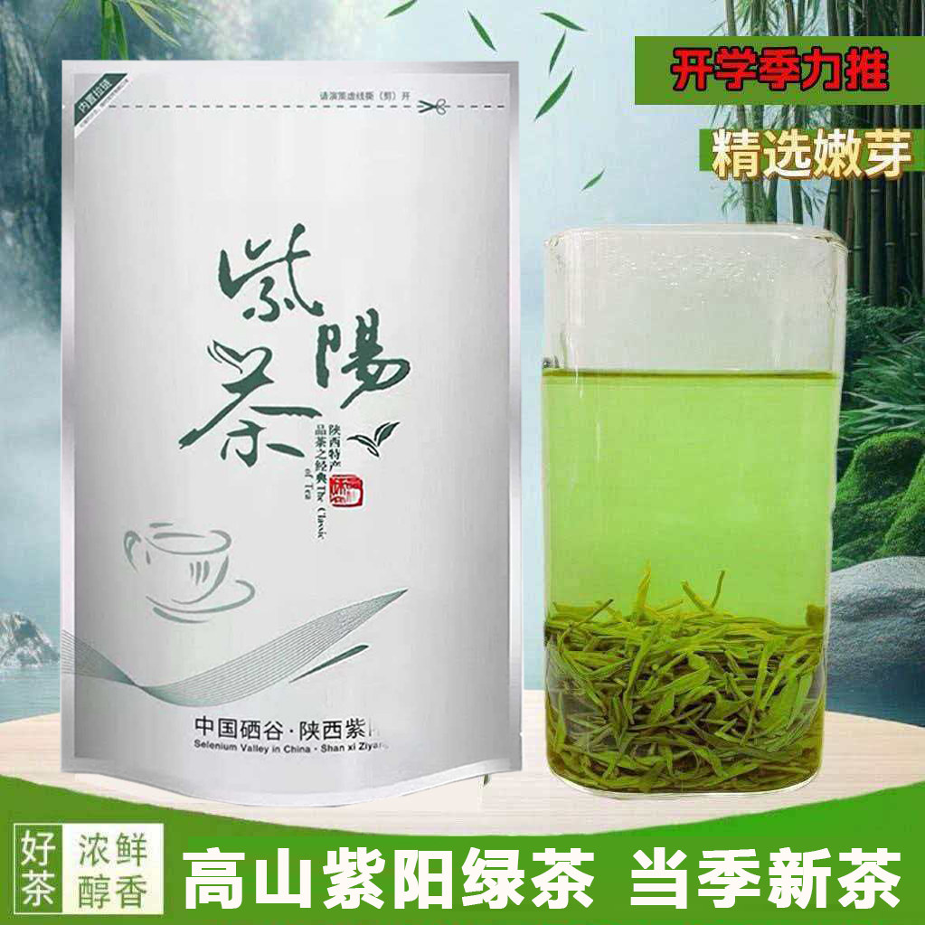 紫阳本地茶陕西安康紫阳绿茶当季新茶紫阳茶浓香耐泡陕南炒青干茶