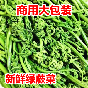 清水绿蕨菜山野菜水蕨菜保鲜清水绿蕨菜山野菜包邮每袋1000克袋装