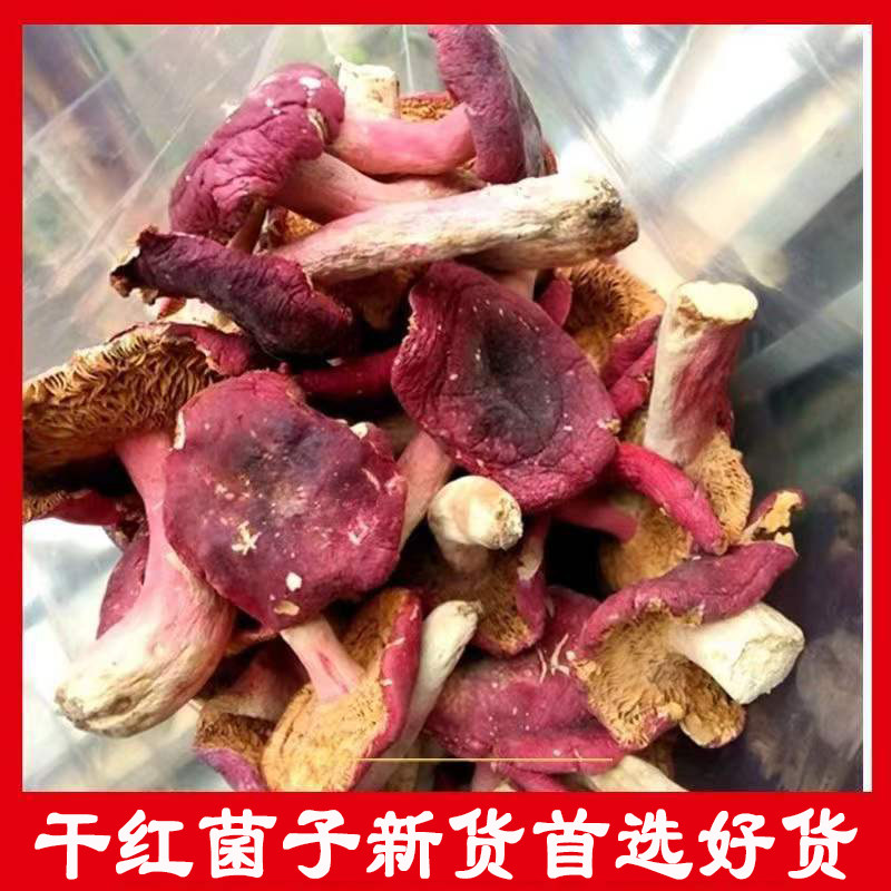 干红菌子正宗红菇野红菌子干货特产红蘑菇红菇新鲜晒干红菌子干货