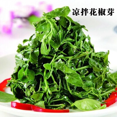 清水花椒芽美食嫩花椒芽300g袋装泡水保鲜花椒叶包邮新鲜花椒嫩叶