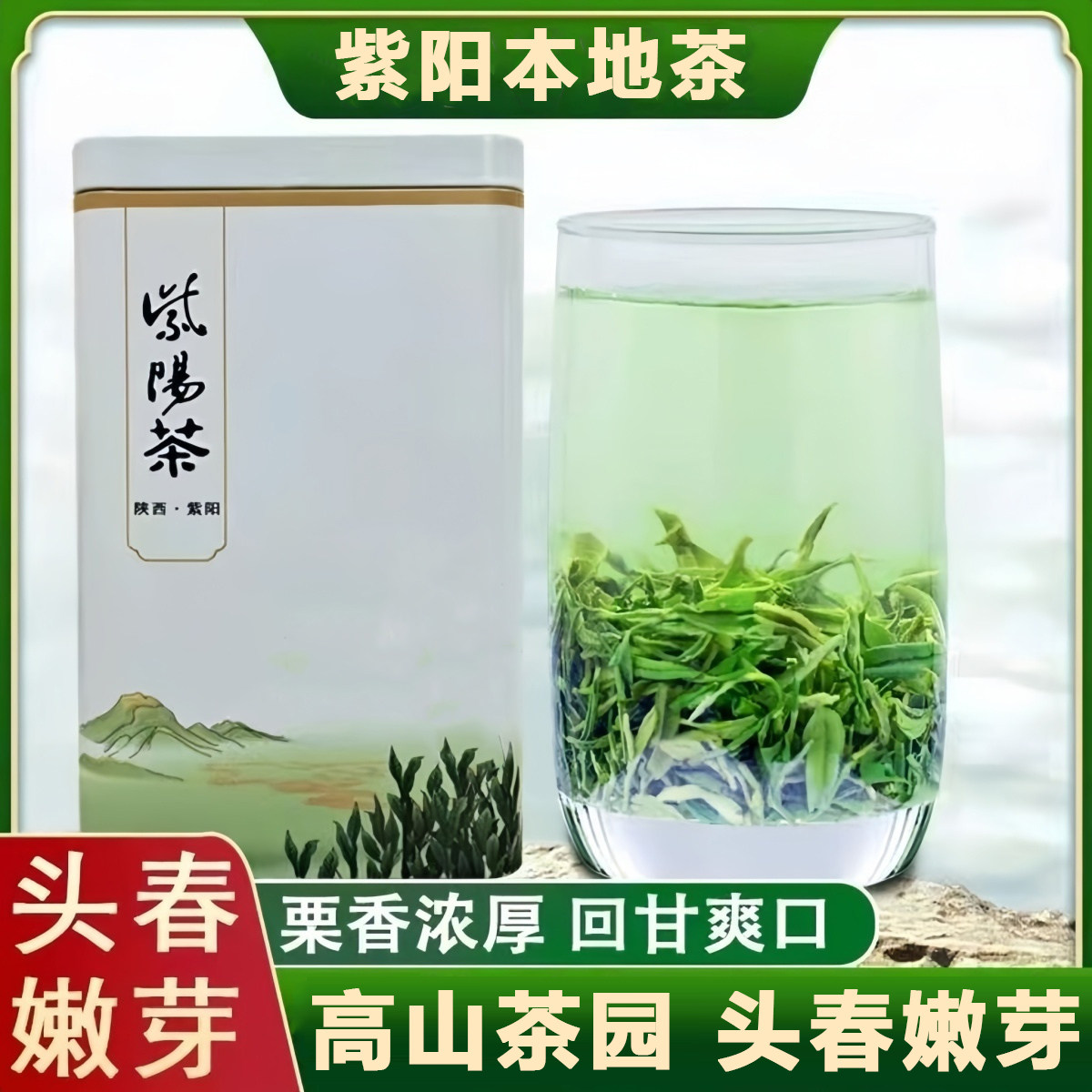 紫阳本地茶紫阳茶当年新茶陕南炒青陕西安康高山绿茶浓香春茶包邮