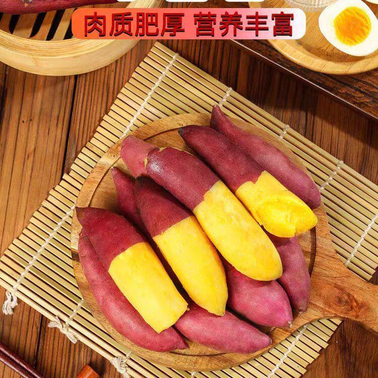 即食迷你小红薯天目山小香薯金手指红薯地瓜番薯板栗薯蜜薯小红薯