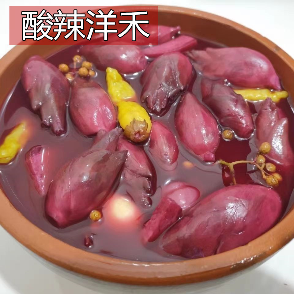 酸辣洋荷姜现摘阳荷姜新鲜泡制酸辣洋荷生姜批发家用包邮厂家直发