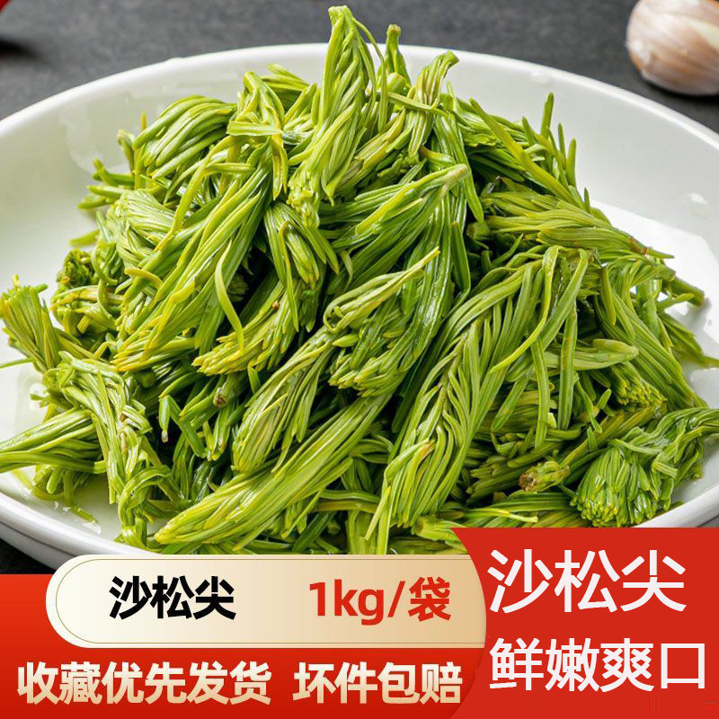 盐水沙松尖云南特产沙松尖可食用沙松尖野菜盐水保鲜餐厅酒店食材