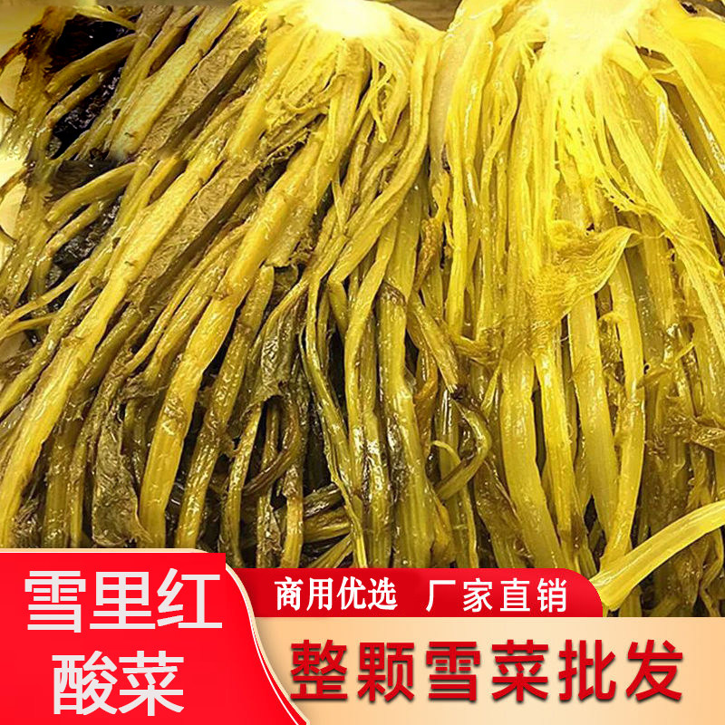 雪里红酸菜雪里红浆水菜500g酸菜特产浆水面酸菜新鲜酸菜浆水拌汤