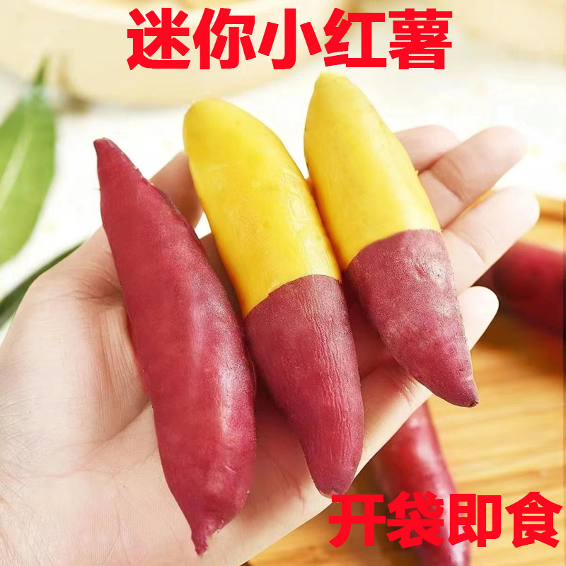 即食迷你小红薯小香薯软糯香甜板栗红薯黄心沙地正宗农家番薯地瓜