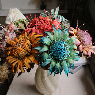 永生花真花干花进口高端帝王高级感装饰插花彩色烫头大号帝王公主