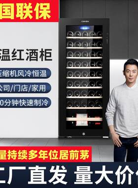 低价家用红酒柜凯得清货