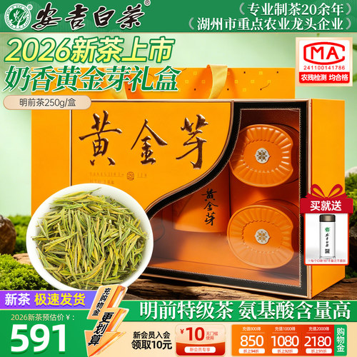 【顺丰】黄金芽明前特级250g礼盒