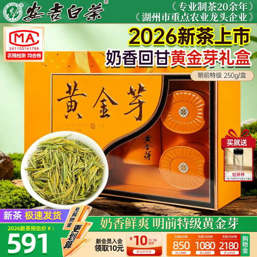 【顺丰】黄金芽明前特级250g礼盒