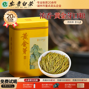 2025新茶黄金芽茶叶50g雨前散罐装 自己喝口粮浙江安吉奶香皇金茶
