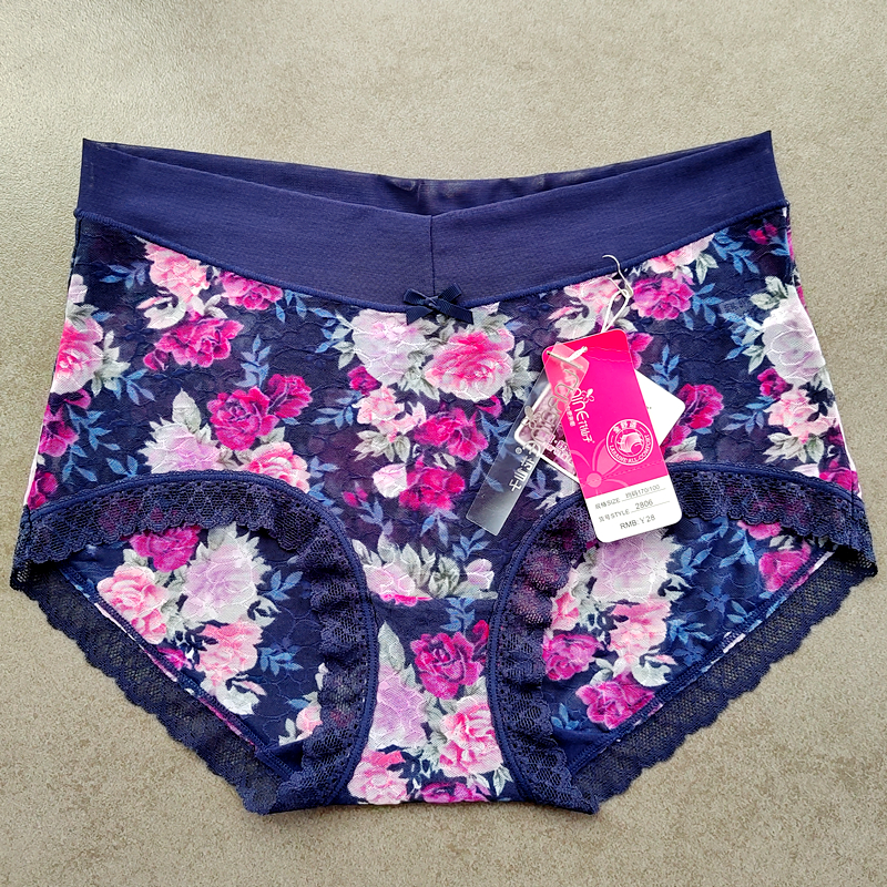 彩田网纱蕾丝边内裤女莫兰迪透明