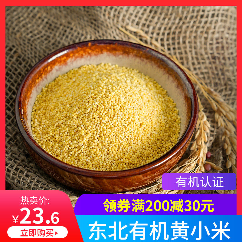 娄家寨东北有机小米490g黑龙江粮食肇源特产食用月子米宝宝杂粮黄
