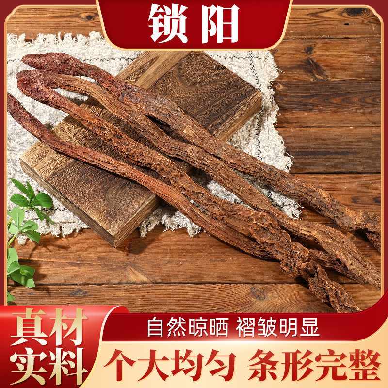飒枫锁阳正宗中药材大个锁阳滋补泡茶整根泡酒散装包邮