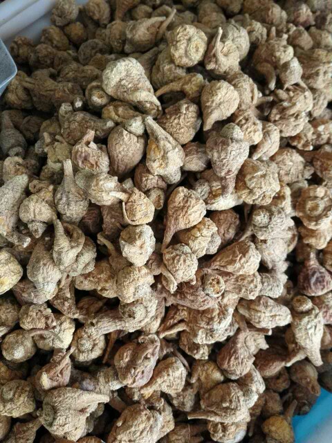 正宗丽江黄玛卡片玛卡干果原装玛卡500g玛咖干片玛咖干果免费切片