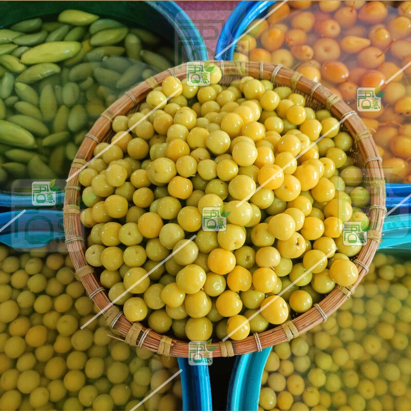 广西南宁酸嘢酸料酸水果酸李子芒果萝卜泡梨荞头刀豆酸姜鱼生配料