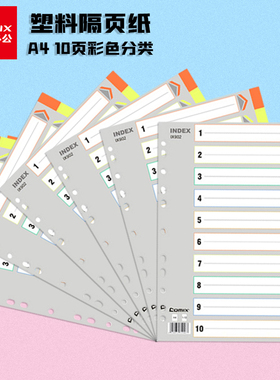 齐心IX902塑料分类纸十色索引纸隔页纸11孔PP彩色10页A4分页纸人事档案分类纸三孔分类纸齐心902