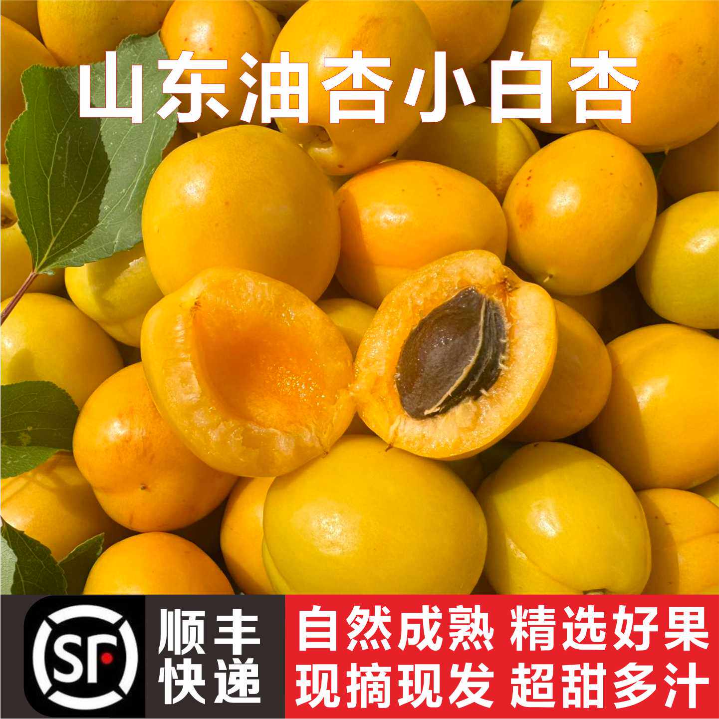 山东珍珠油杏小白杏新鲜孕妇应季水果现摘整箱2斤3斤软甜多汁杏子