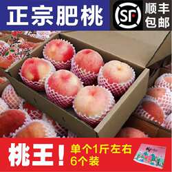 山东特产肥城桃子桃王新鲜桃子脆甜水蜜桃脆桃特大桃子豪华礼