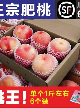 顺丰山东特产肥城桃子大桃王新鲜桃子脆甜水蜜桃脆桃特大豪华礼盒
