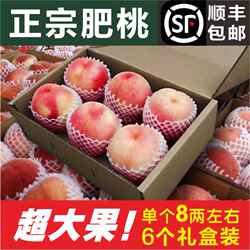 顺丰山东特产肥城桃脆甜新鲜超大桃子当季水果 6个装精美豪华礼盒