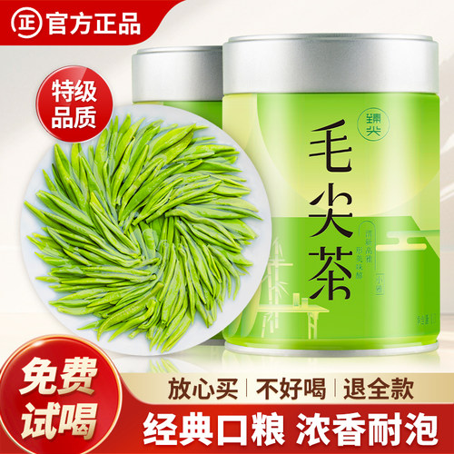 2025新茶上市特级毛尖绿茶茶叶