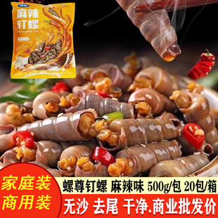 螺尊钉螺鲜活去尾大号锥螺新鲜海螺丝捞汁小海鲜麻辣贝类田螺商用