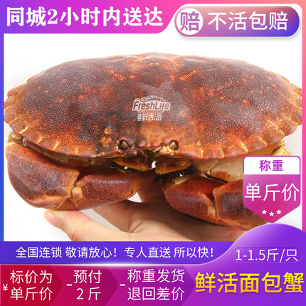 长沙店 鲜活面包蟹约1-1.5斤/只称重结算 大黄螃蟹膏蟹之王