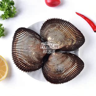 成都店同城闪送 鲜活大赤贝1斤/份约2-3只 大毛蚶大毛螺