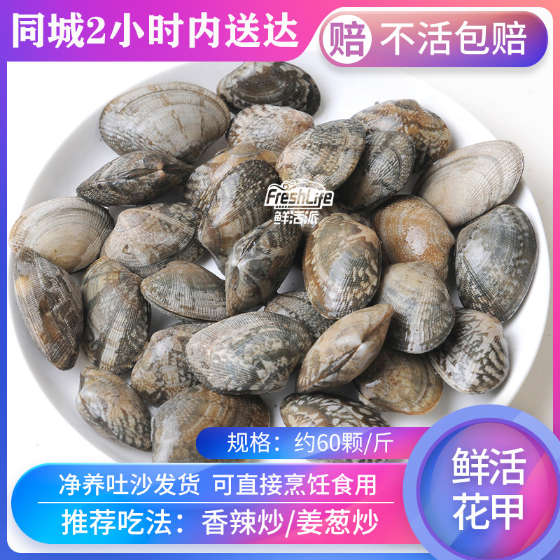 贵阳店 鲜活无沙花甲60颗/斤鲜活花蚬子杂色蛤花蛤蜊青蛤干净肉肥