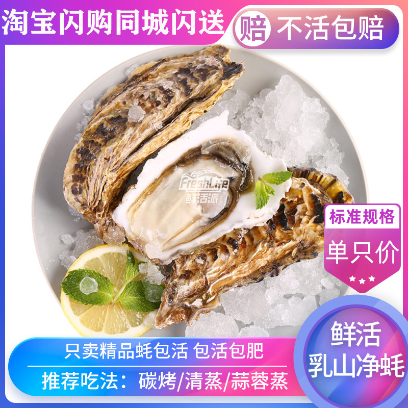成都店同城闪送 鲜活精品乳山生生蚝