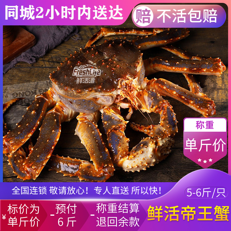 重庆店 鲜活帝王蟹5-6斤/只 称重算俄罗斯长脚蟹皇帝蟹包活送达