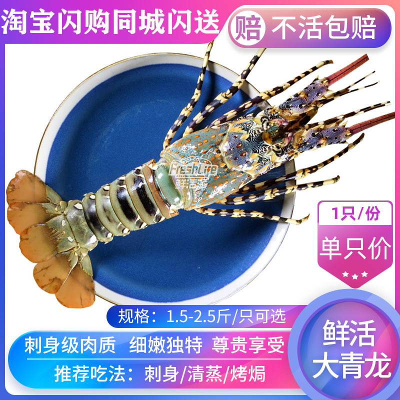 成都店同城闪送 鲜活大青龙虾1只/份约1.5-2.5斤可选 大花龙包活