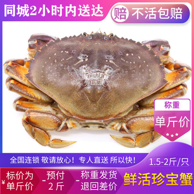 南宁店  鲜活珍宝蟹1.5-2斤/只称重结算太子蟹海鲜水产加拿大进口